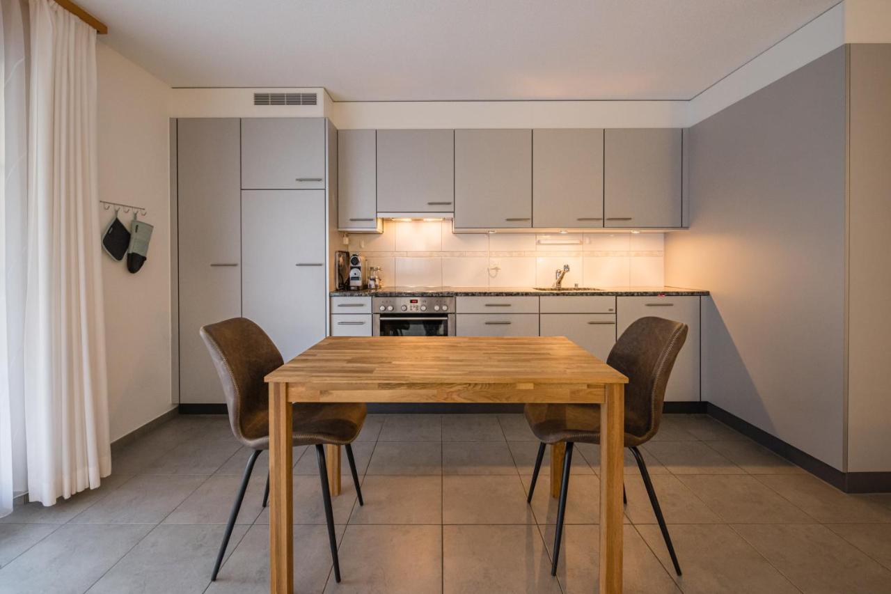 Apartment Truemmelbach, Comfortabl & Cozy, Private Terrace With Best Views لوتربرونن المظهر الخارجي الصورة